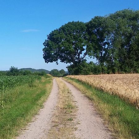 Landgasthof Zur Untermuehle Datterode Exterior foto
