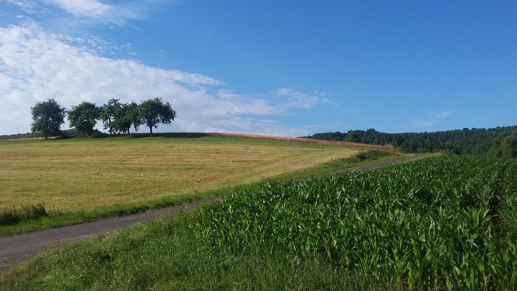 Landgasthof Zur Untermuehle Datterode Exterior foto