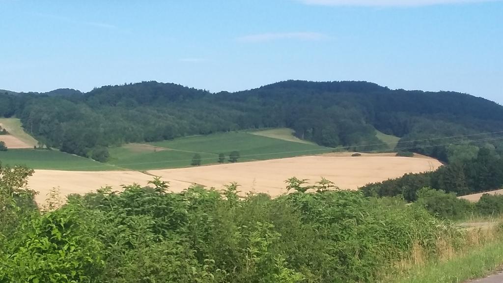 Landgasthof Zur Untermuehle Datterode Exterior foto
