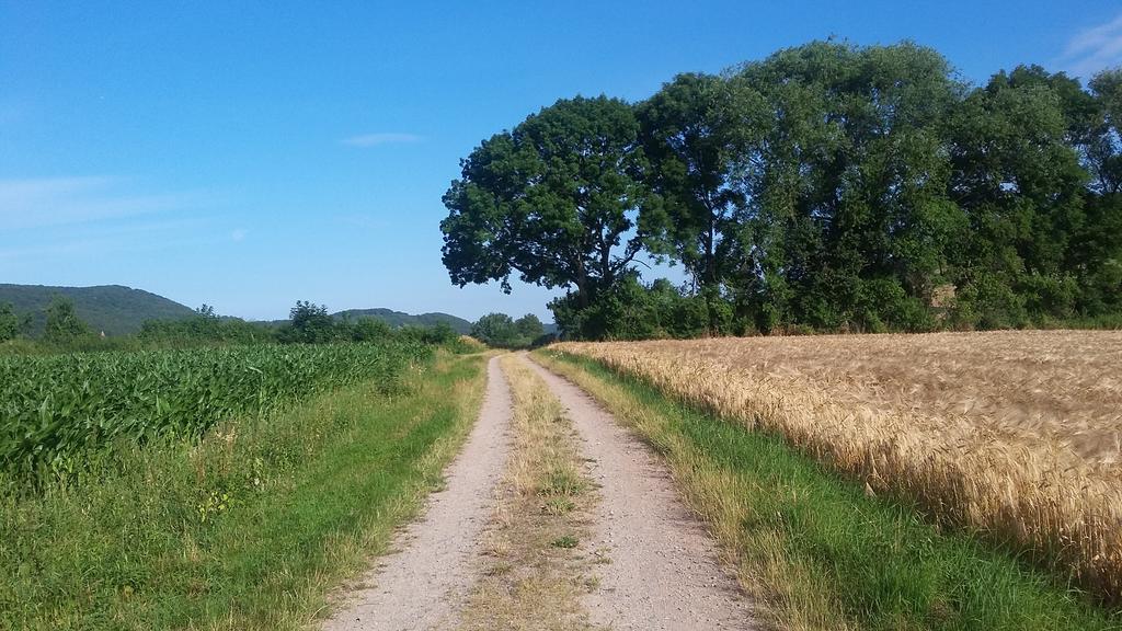 Landgasthof Zur Untermuehle Datterode Exterior foto